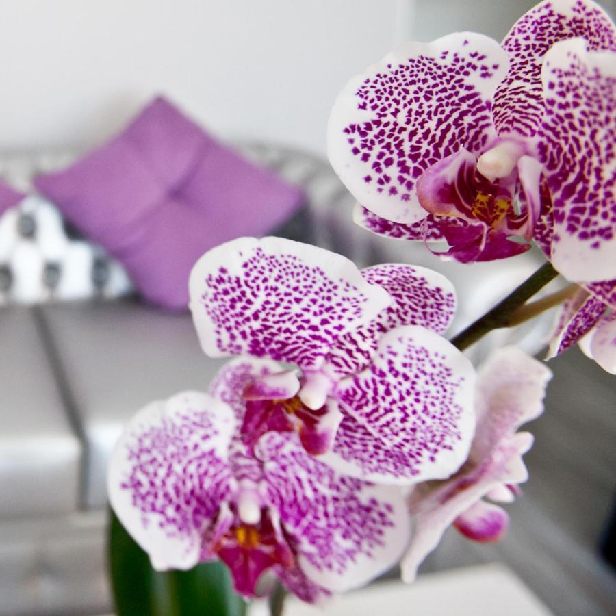 Alix Boutique Hotel Arteixo Luaran gambar